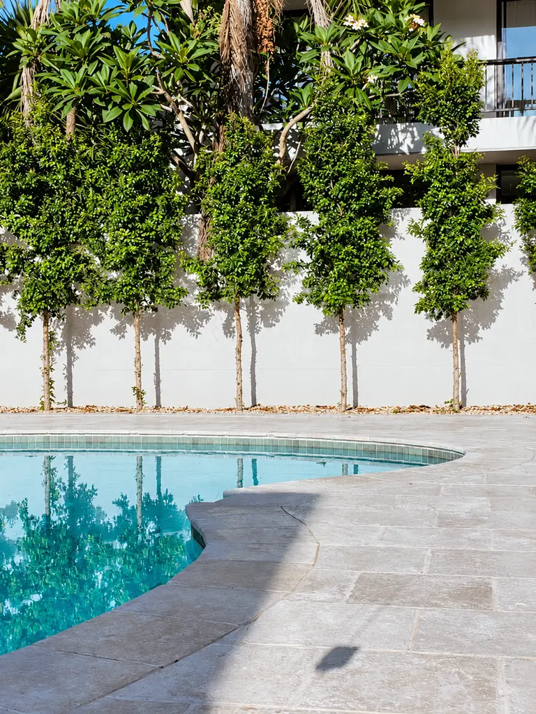 Curved stone pool edge and waterline beside the surrounding paving